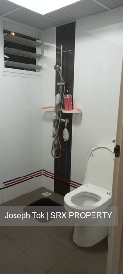 Blk 43A Skyoasis @ Dawson (Queenstown), HDB 4 Rooms #416811411